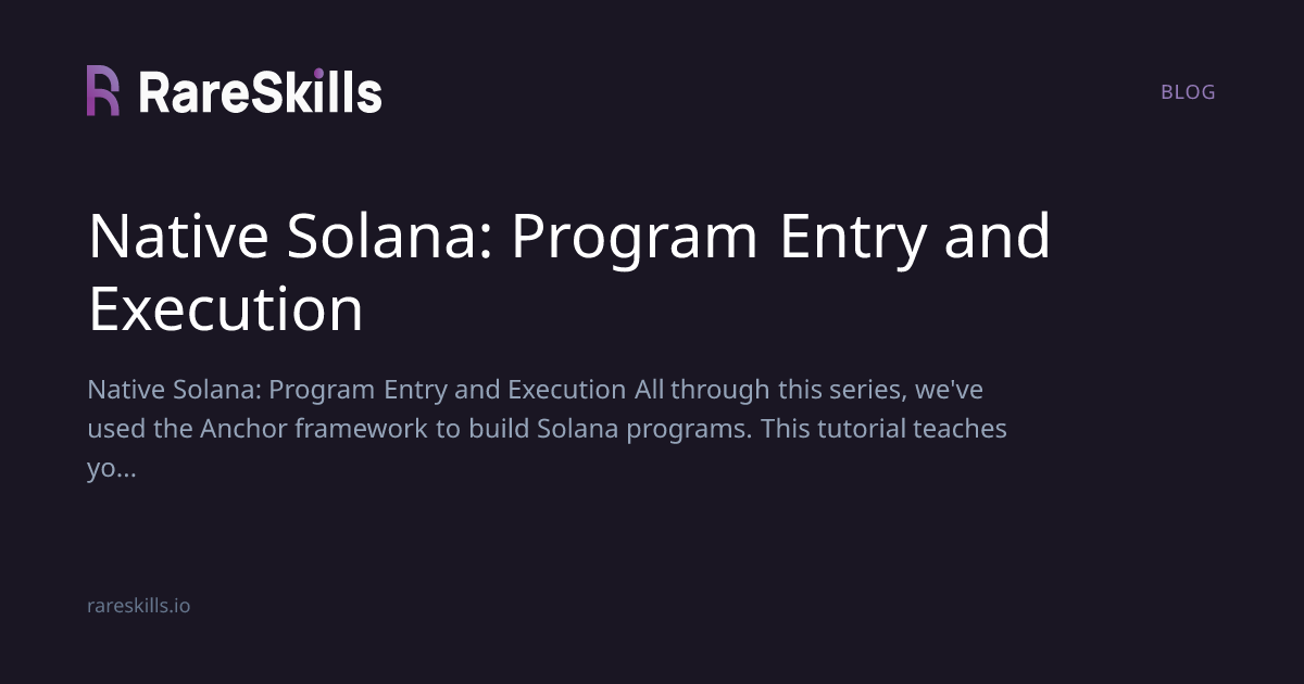 Native Solana: Program Entry and Execution | RareSkills