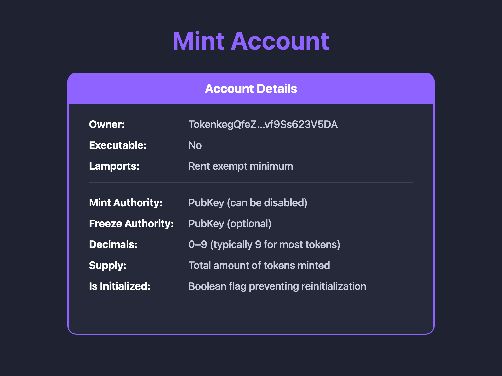 a table showing the fields inside the mint account