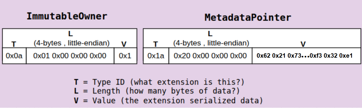Token-2022 TLV layout showing ImmutableOwner and MetadataPointer laid out end-to-end